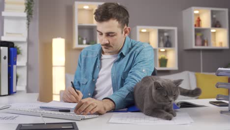 The-gray-cat-looks-at-the-owner-working-at-his-desk-and-wants-to-be-loved.
